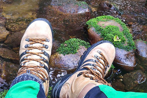 Wanderschuhe Wanderschuhe